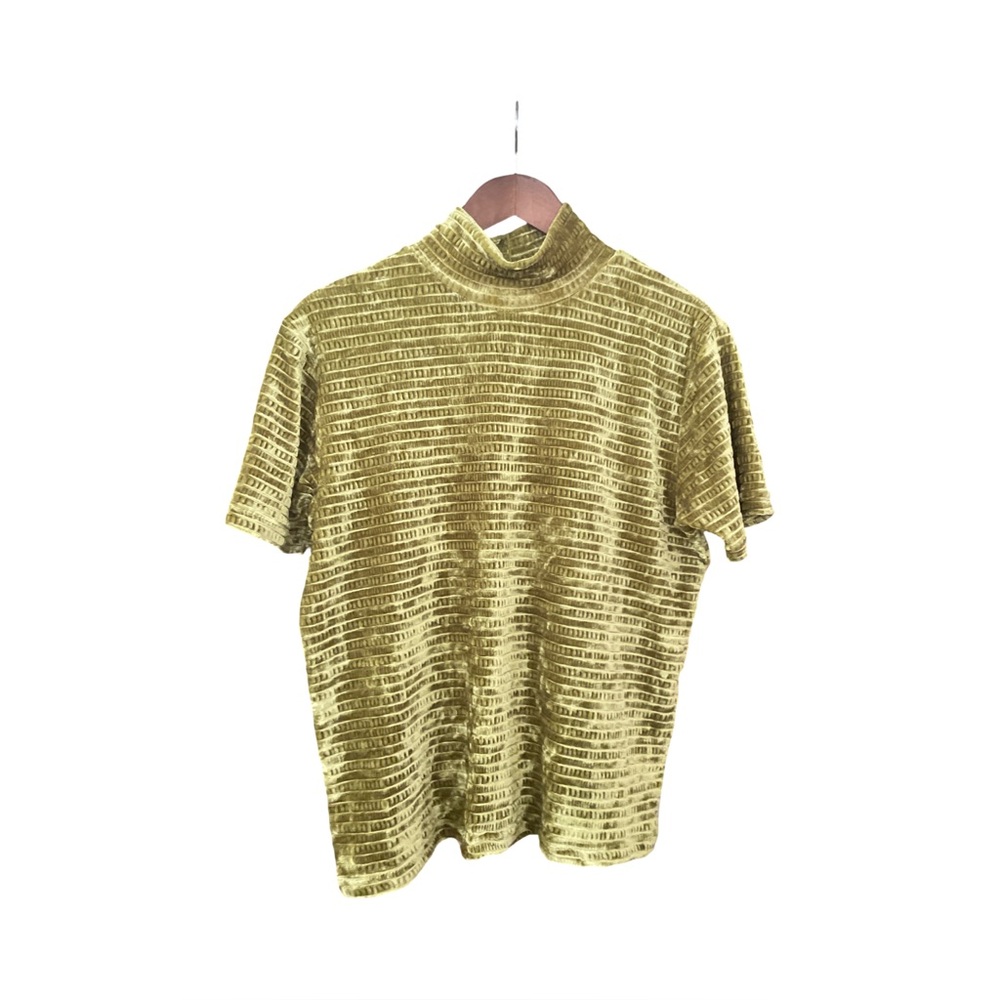 Velvet Textured velour Short Sleeve Top